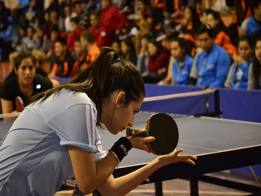 Tenis de mesa