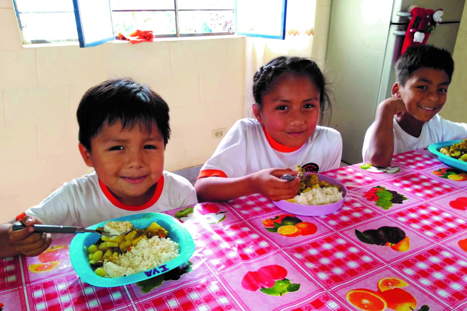 Enlace Solidario: El respaldo pionero de la UP a la filantropía