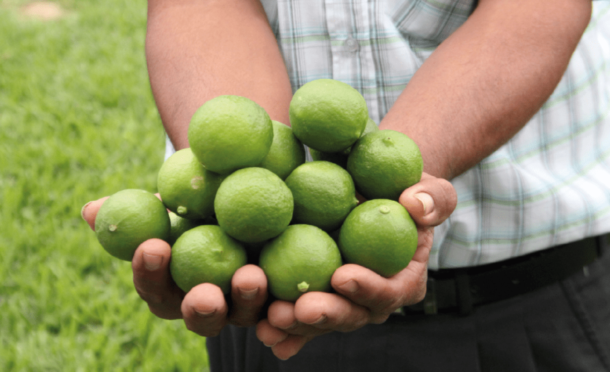 Limón fuera del alcance