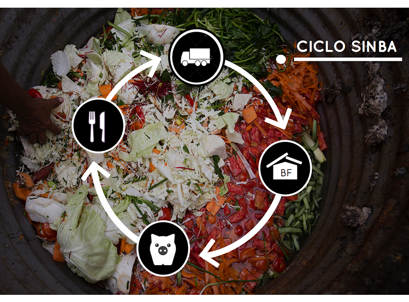 Ciclo Sinba.jpg
