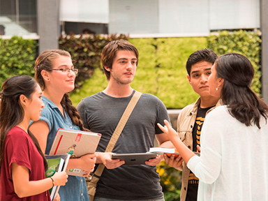 Participación universitaria 