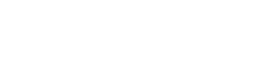 Universidad del Pacífico