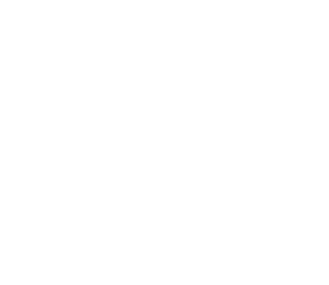 Organizadores