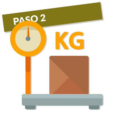 Paso2