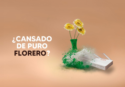 Caso ganador