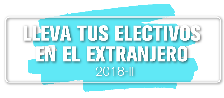 Cursos Electivos en el Extranjero