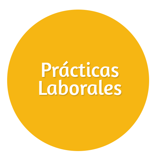 Prácticas Laborales