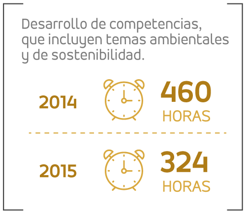 Desarrollo de competencias