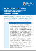 Nota de Política N° 1