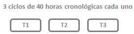 TR1.PNG