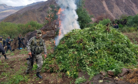 Narcotráfico en Ayacucho